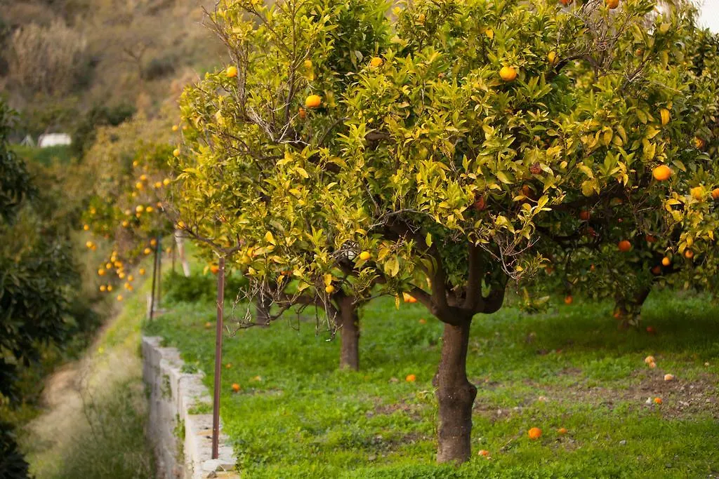 Finca La Herradura La Herradura